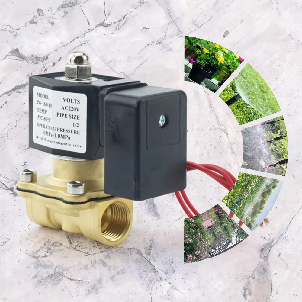 AC220V Tuya WiFi Akıllı Soleno - Smart Garden Instructions incelemesi ve fiyatı